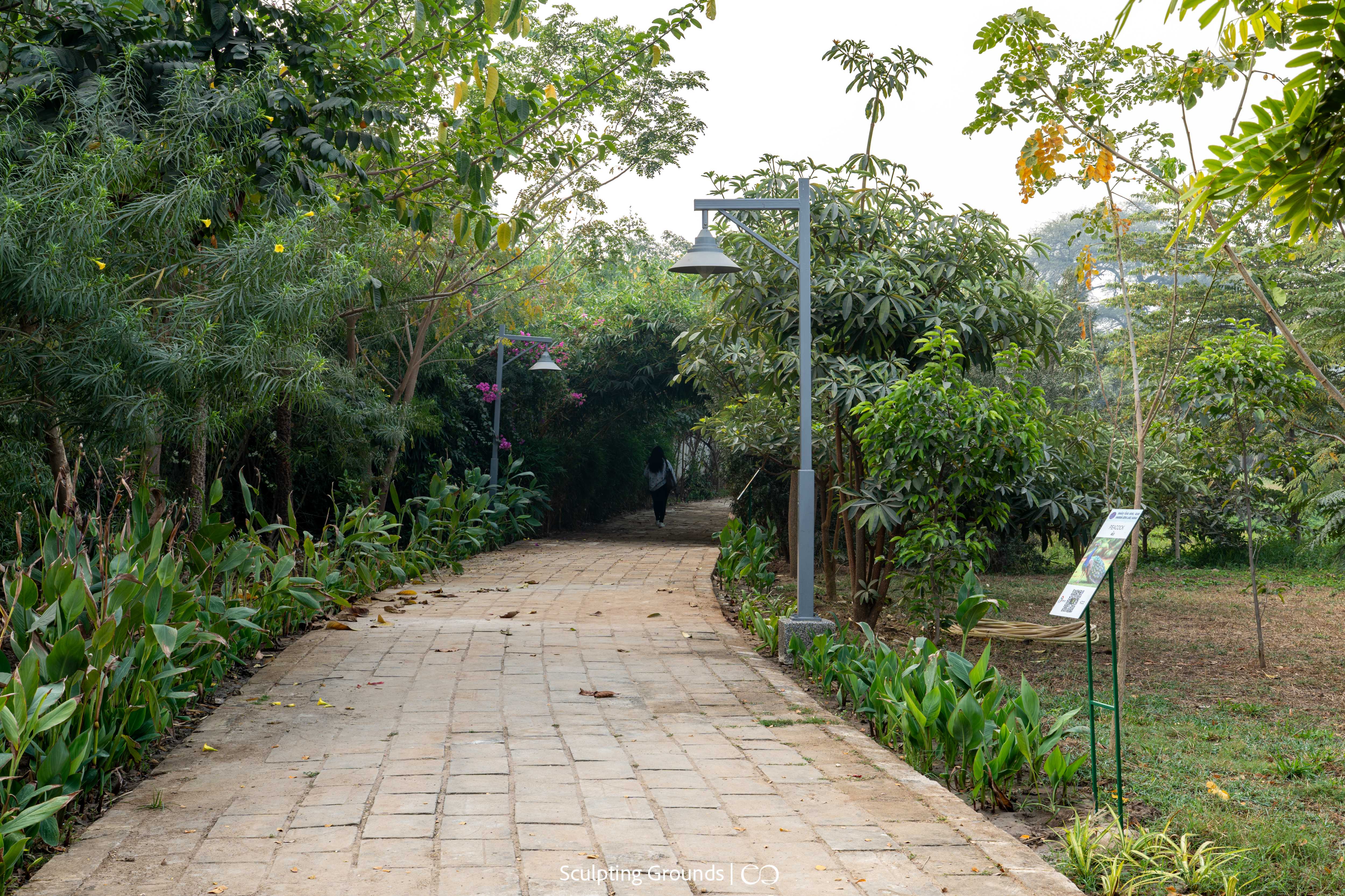 Landscape update preview